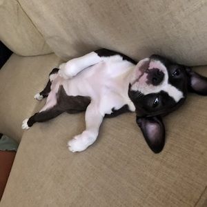 Meet your Posher, Kerri